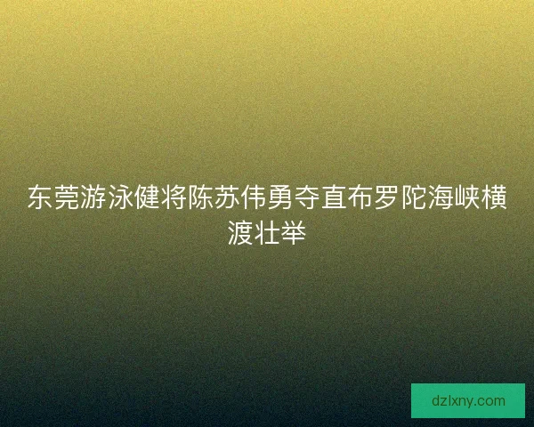 东莞游泳健将陈苏伟勇夺直布罗陀海峡横渡壮举